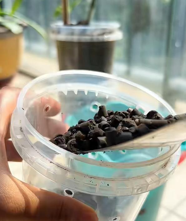 Sau khi uống hết ly tr&agrave; sữa, c&ocirc; g&aacute;i l&agrave;m 1 điều khiến cả c&otilde;i mạng thừa nhận: Đỉnh n&oacute;c!- Ảnh 7.