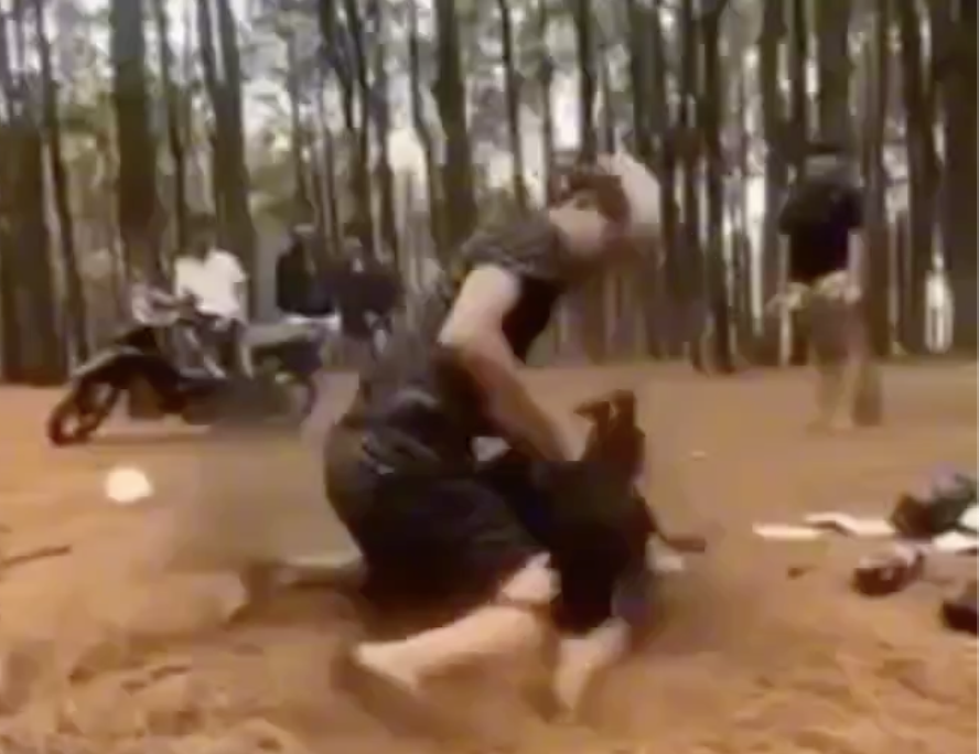 Triệu tập nhóm thiếu niên vây đánh nữ sinh lớp 7 vì mâu thuẫn - Ảnh 1.