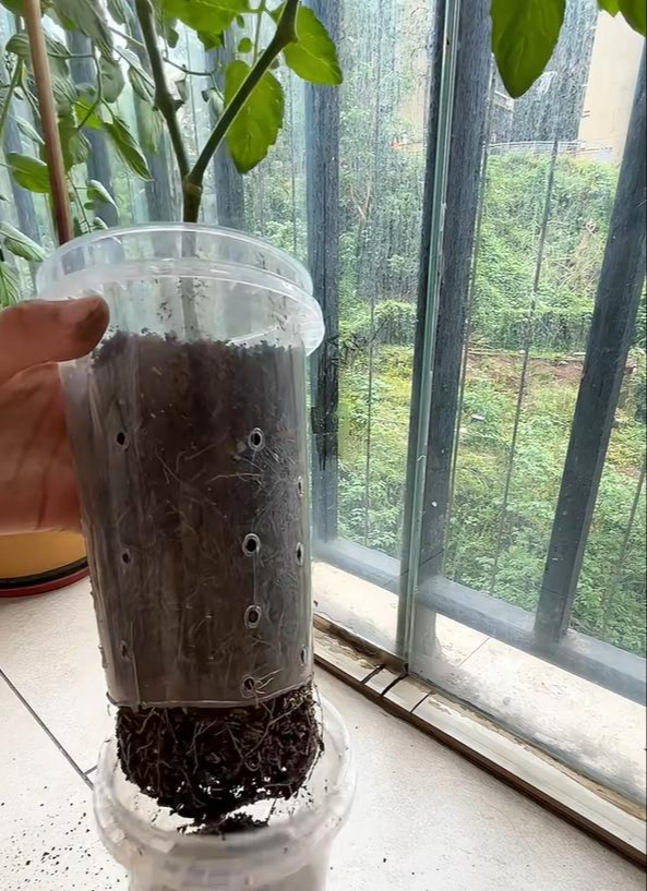 Sau khi uống hết ly tr&agrave; sữa, c&ocirc; g&aacute;i l&agrave;m 1 điều khiến cả c&otilde;i mạng thừa nhận: Đỉnh n&oacute;c!- Ảnh 8.