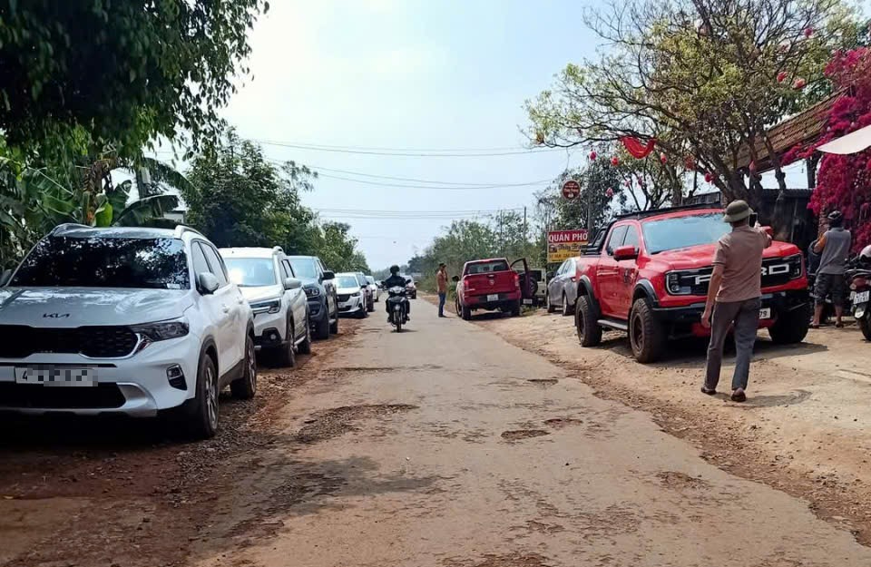 Vì sao cò đất đổ về xã Ea Drơng , Đắk Lắk? - Ảnh 1. Vì sao cò đất đổ về xã Ea Drơng , Đắk Lắk? - Ảnh 1.