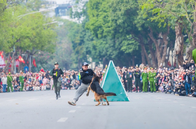 Mãn nhãn với màn trình diễn kỵ binh, cảnh khuyển trấn áp tội phạm bên hồ Gươm- Ảnh 12.