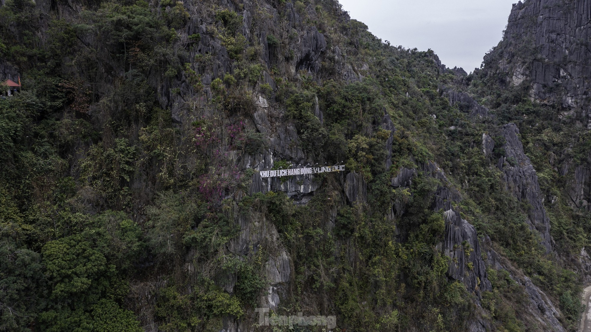 Động Cung Đình bị biến thành nơi tổ chức sự kiện gây tranh cãi - Ảnh 2.