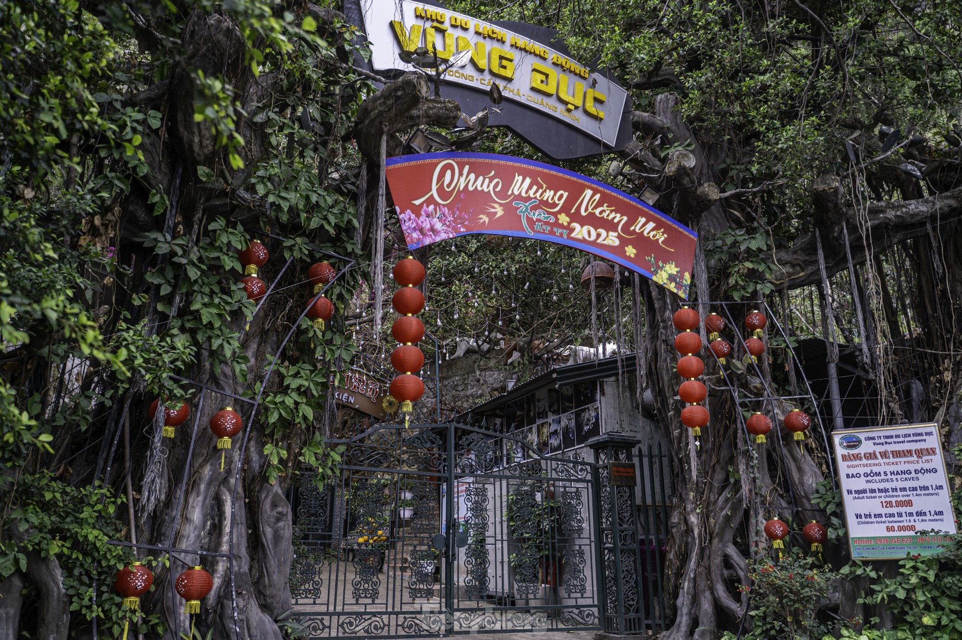 Động Cung Đình bị biến thành nơi tổ chức sự kiện gây tranh cãi - Ảnh 9.