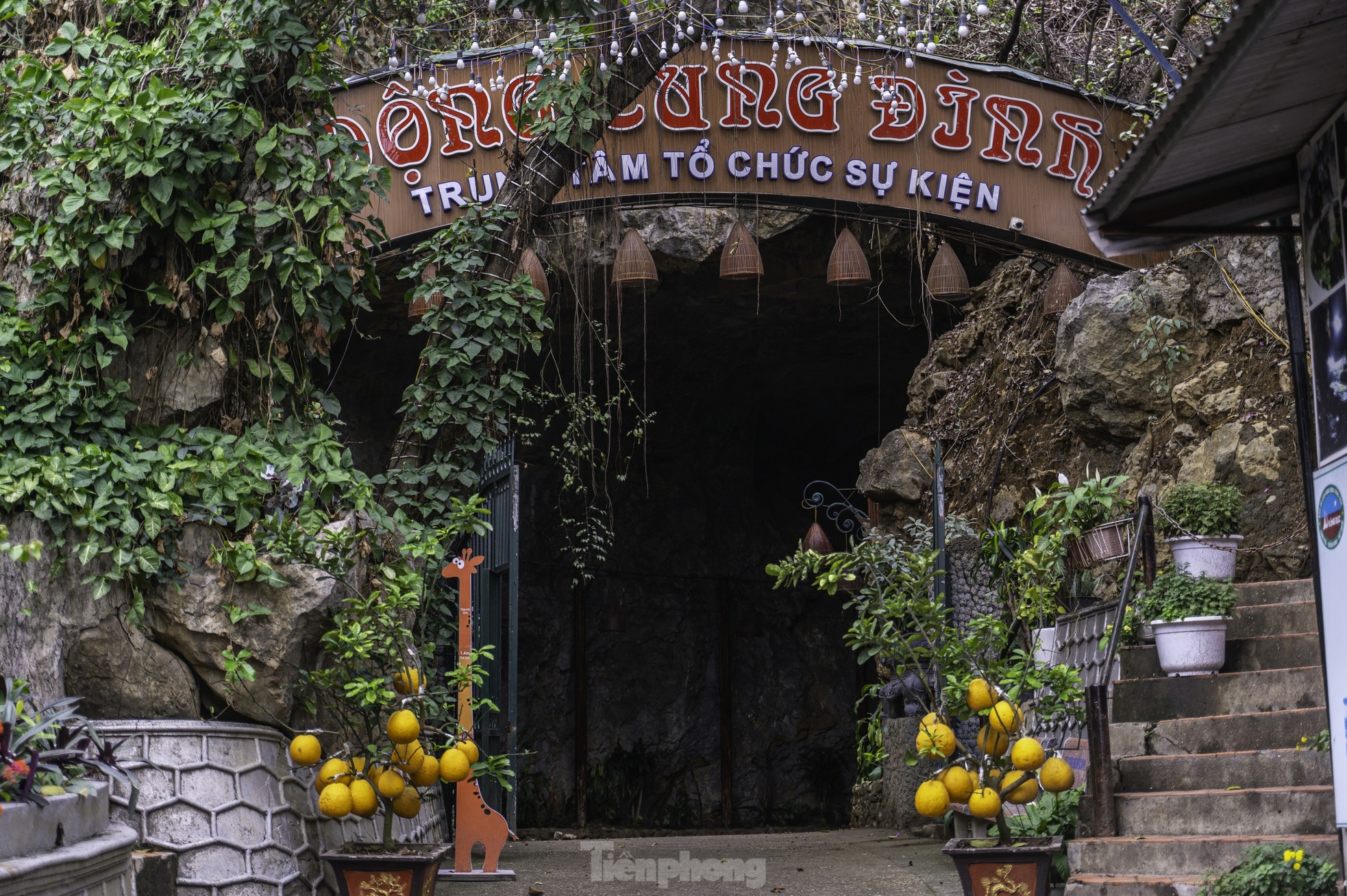 Động Cung Đình bị biến thành nơi tổ chức sự kiện gây tranh cãi - Ảnh 11.