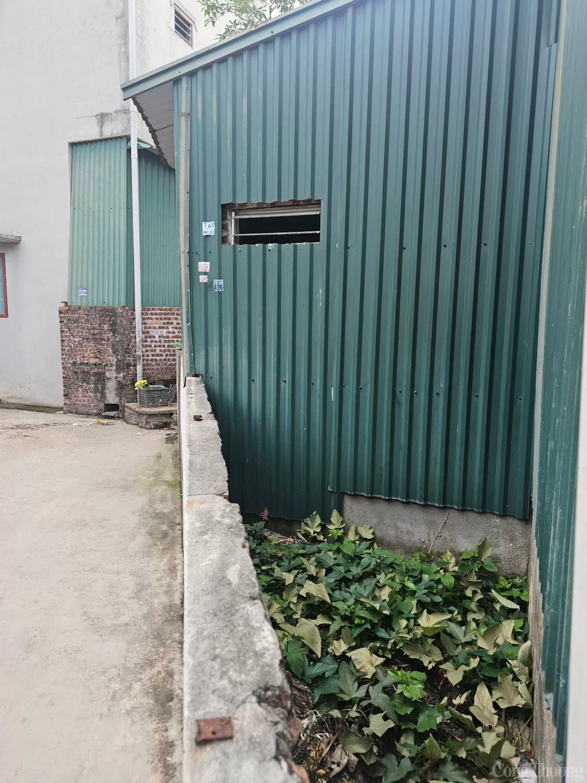 Xôn xao hình ảnh nhà máy sản xuất sản phẩm tăng cường sinh lý "công nghệ Hàn Quốc" của vợ chồng Phú Lê - Ảnh 7. Xôn xao hình ảnh nhà máy sản xuất sản phẩm tăng cường sinh lý "công nghệ Hàn Quốc" của vợ chồng Phú Lê - Ảnh 7.