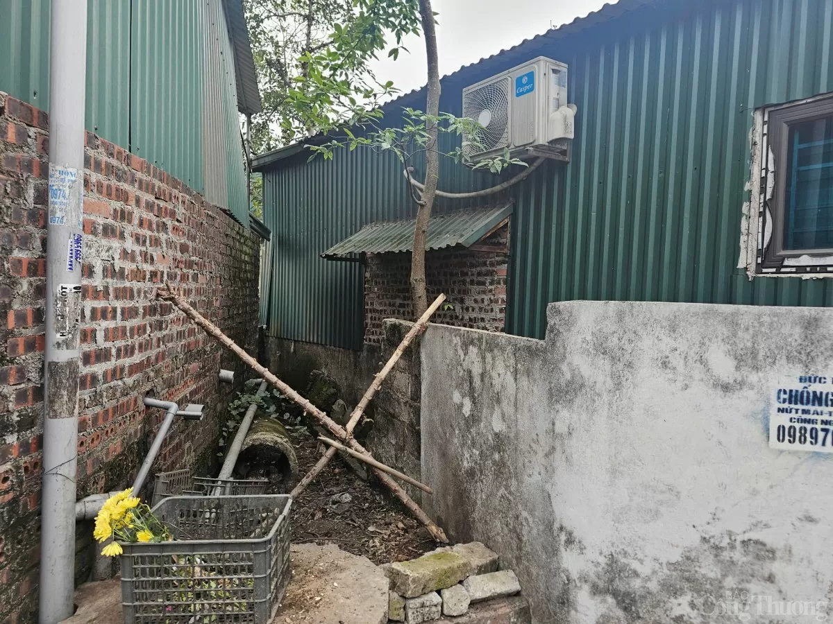 Xôn xao hình ảnh nhà máy sản xuất sản phẩm tăng cường sinh lý "công nghệ Hàn Quốc" của vợ chồng Phú Lê - Ảnh 5. Xôn xao hình ảnh nhà máy sản xuất sản phẩm tăng cường sinh lý "công nghệ Hàn Quốc" của vợ chồng Phú Lê - Ảnh 5.