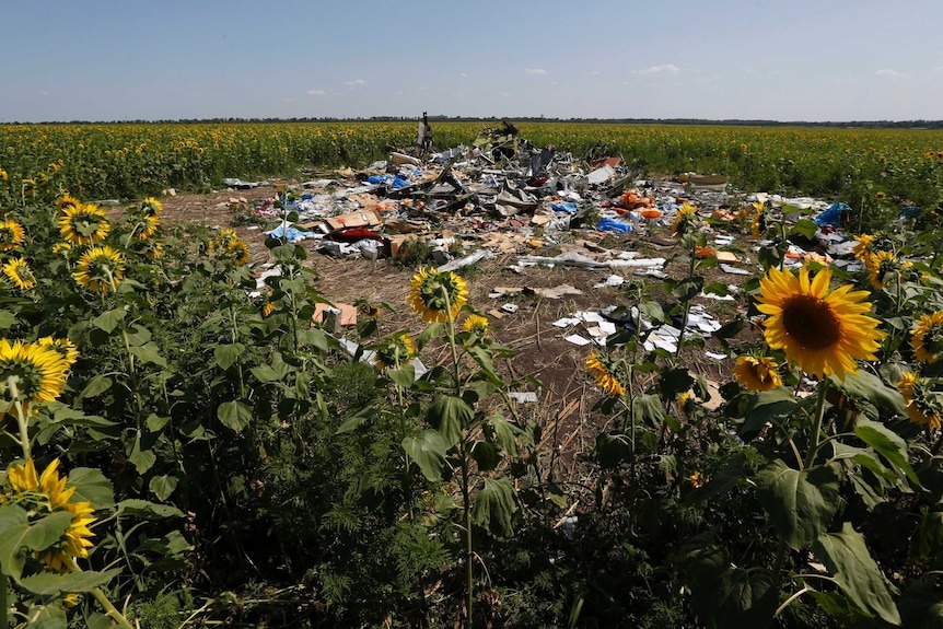Chuyến bay MH17: Mất mát lớn của nghiên cứu HIV/AIDS toàn cầu - Ảnh 5.