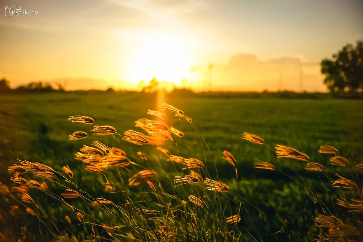 Cánh đồng điện gió ở Ninh Thuận có gì mà hút khách đến thế? - Ảnh 7. Cánh đồng điện gió ở Ninh Thuận có gì mà hút khách đến thế? - Ảnh 7.