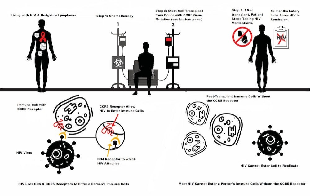 Chuyến bay MH17: Mất mát lớn của nghiên cứu HIV/AIDS toàn cầu - Ảnh 12.