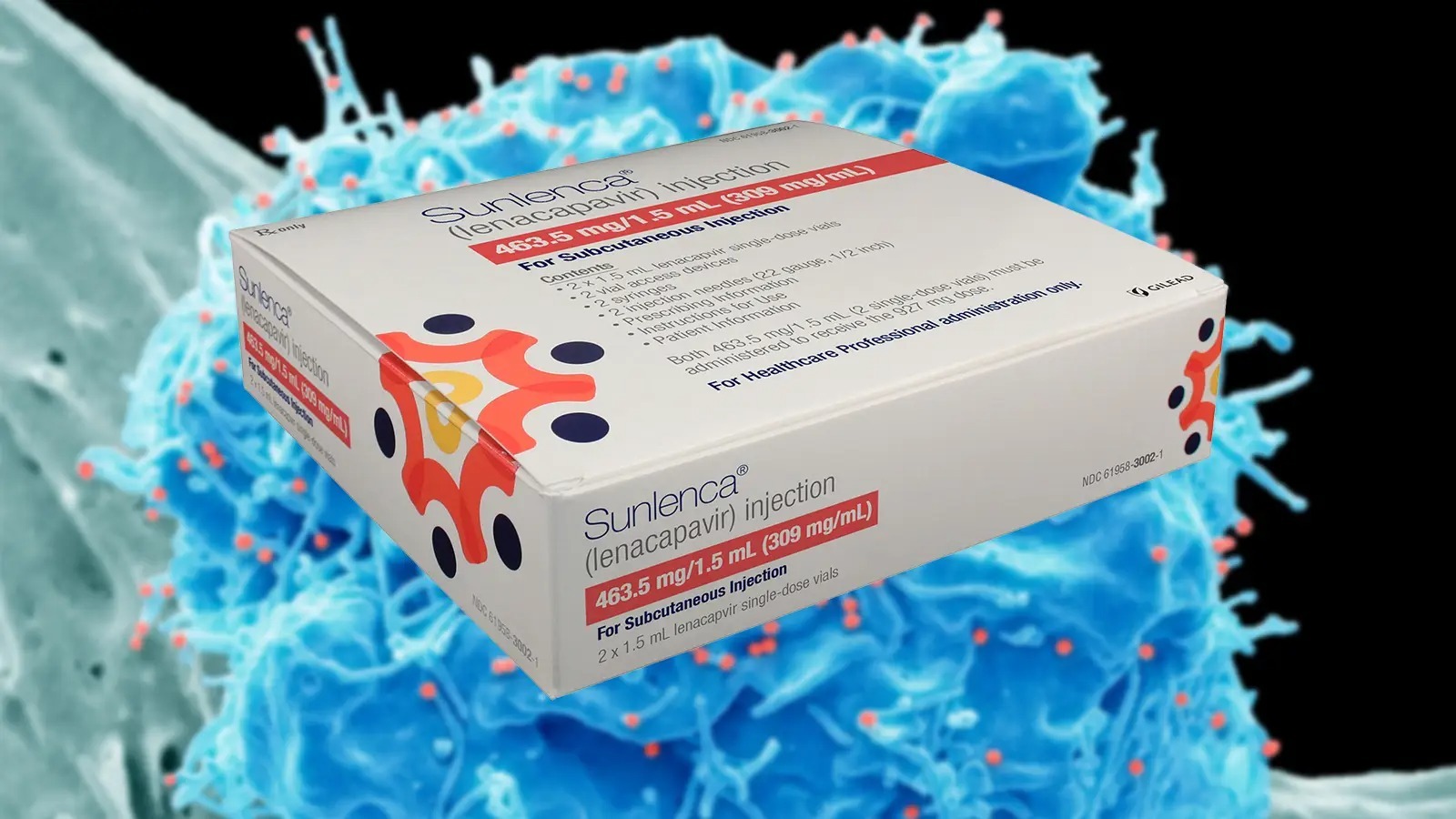 Chuyến bay MH17: Mất mát lớn của nghiên cứu HIV/AIDS toàn cầu - Ảnh 17.