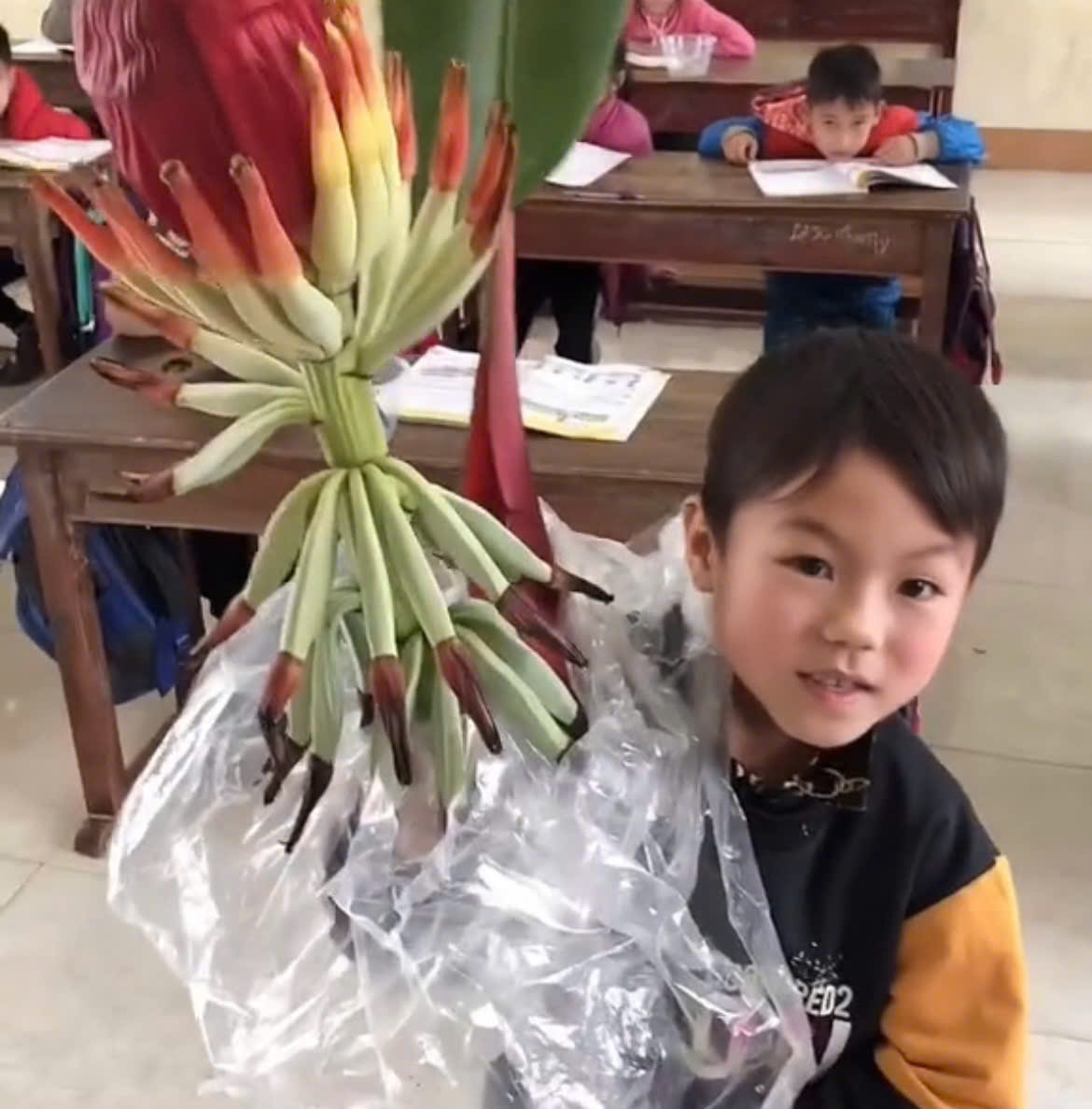 M&oacute;n qu&agrave; độc lạ ng&agrave;y 8 / 3: C&ocirc; gi&aacute;o nhận hoa chuối rừng si&ecirc;u hiếm từ học tr&ograve; - Ảnh 1.