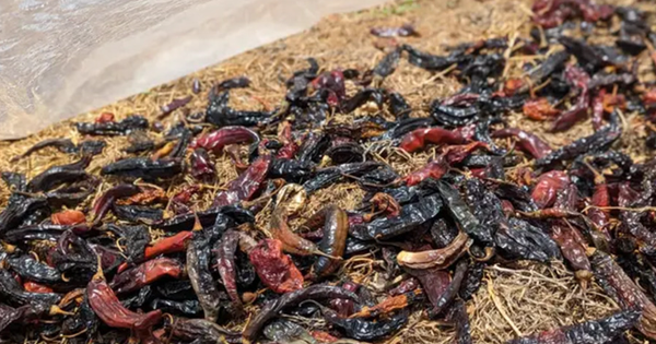 Vận hành gần 400 nhà hàng, chủ chuỗi Gogi, Manwah mỗi ngày bỏ túi hơn 18 tỷ đồng doanh thu - Ảnh 2.