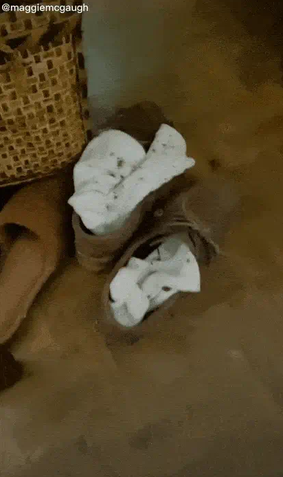 Chi 5 tỷ mua nhà bỏ hoang và kho báu bất ngờ bên trong - Ảnh 4.