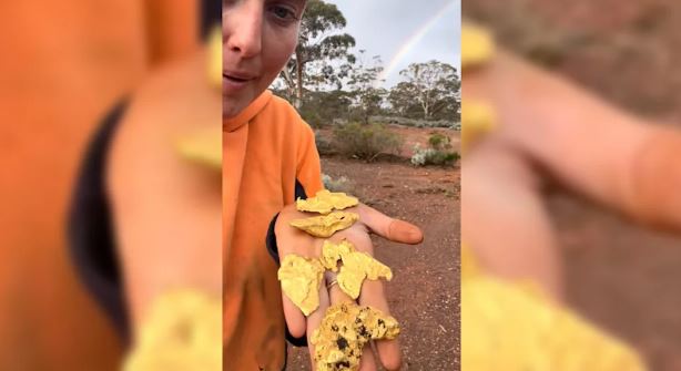 Cô gái bất ngờ đào được cục vàng trị giá 3,3 tỷ đồng ở vùng hẻo lánh- Ảnh 2.