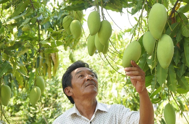 Hồi sinh những "vùng đất chết" - Ảnh 1. Hồi sinh những "vùng đất chết" - Ảnh 1.