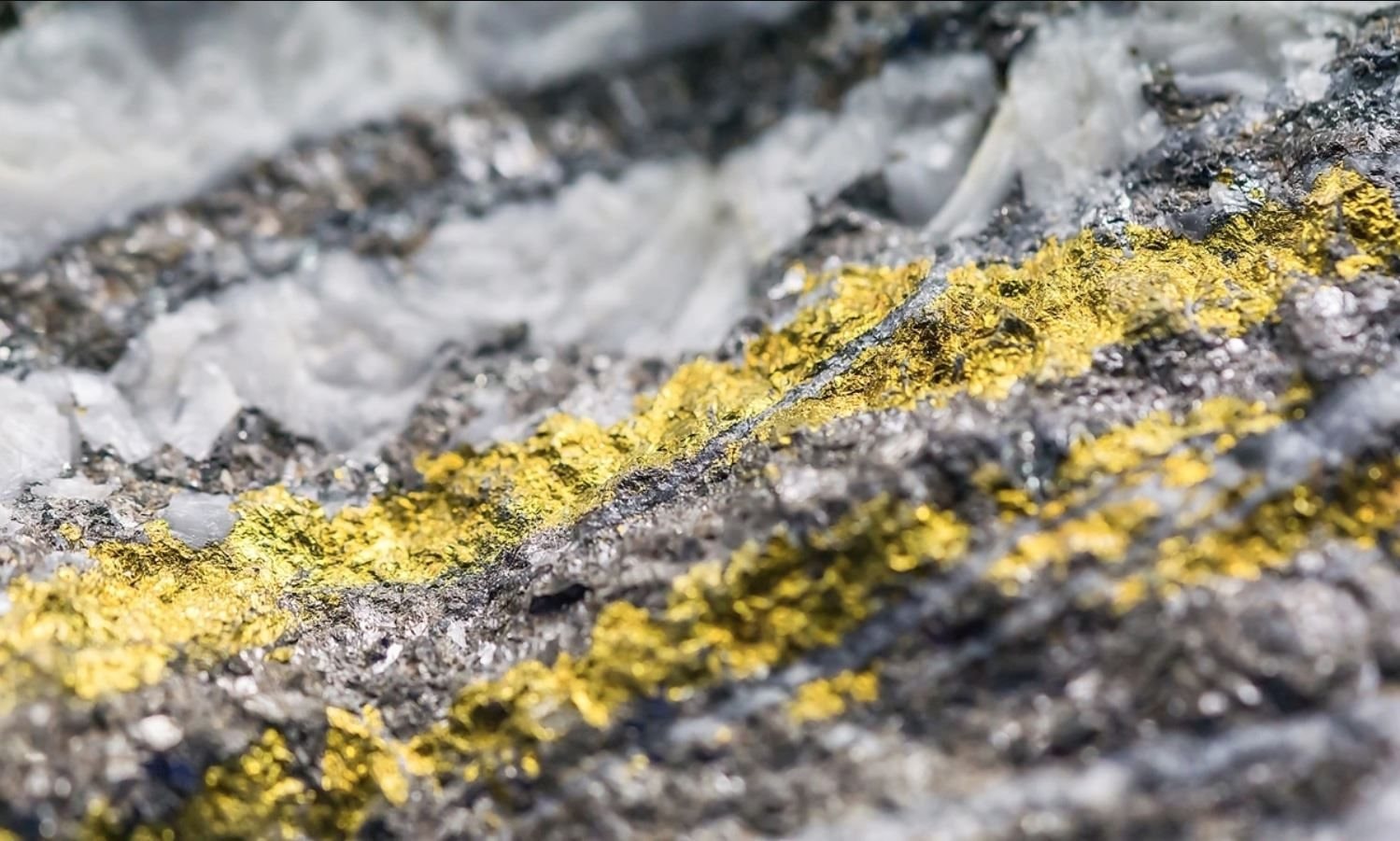 H&eacute; mở về những mỏ v&agrave;ng với tổng trữ lượng h&agrave;ng trăm tấn tại Việt Nam