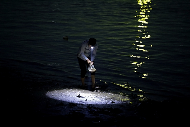 Cảnh tượng săn vờ sông Hồng: Người dân Hà Nội thức dậy từ 4 giờ sáng - Ảnh 8.