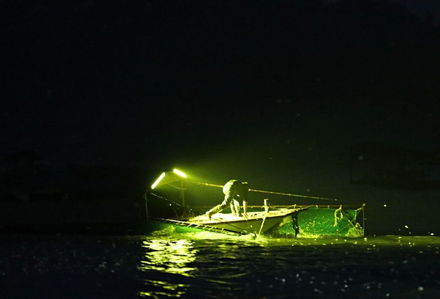 Cảnh tượng săn vờ sông Hồng: Người dân Hà Nội thức dậy từ 4 giờ sáng - Ảnh 6.