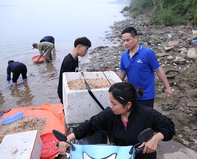 Cảnh tượng săn vờ sông Hồng: Người dân Hà Nội thức dậy từ 4 giờ sáng - Ảnh 21.