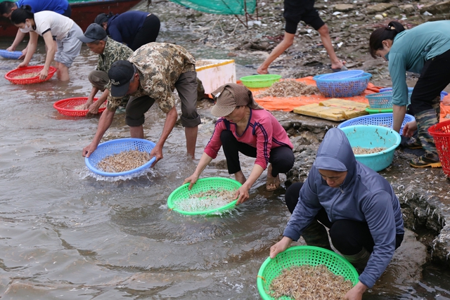 Cảnh tượng săn vờ sông Hồng: Người dân Hà Nội thức dậy từ 4 giờ sáng - Ảnh 17.