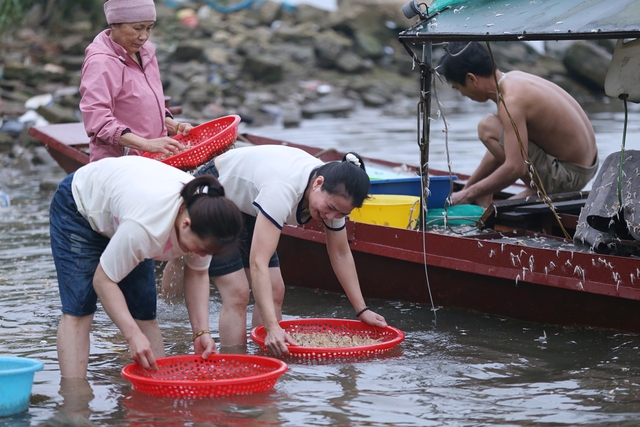 Cảnh tượng săn vờ sông Hồng: Người dân Hà Nội thức dậy từ 4 giờ sáng - Ảnh 19.