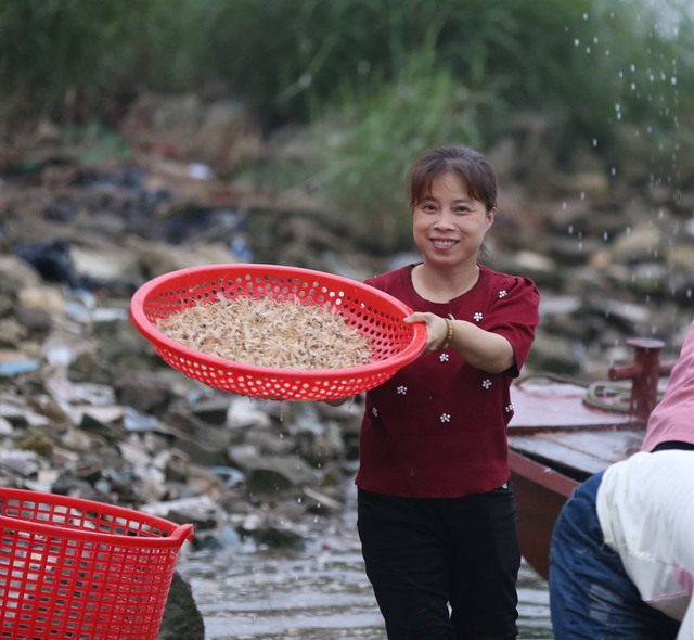 Cảnh tượng săn vờ sông Hồng: Người dân Hà Nội thức dậy từ 4 giờ sáng - Ảnh 20.