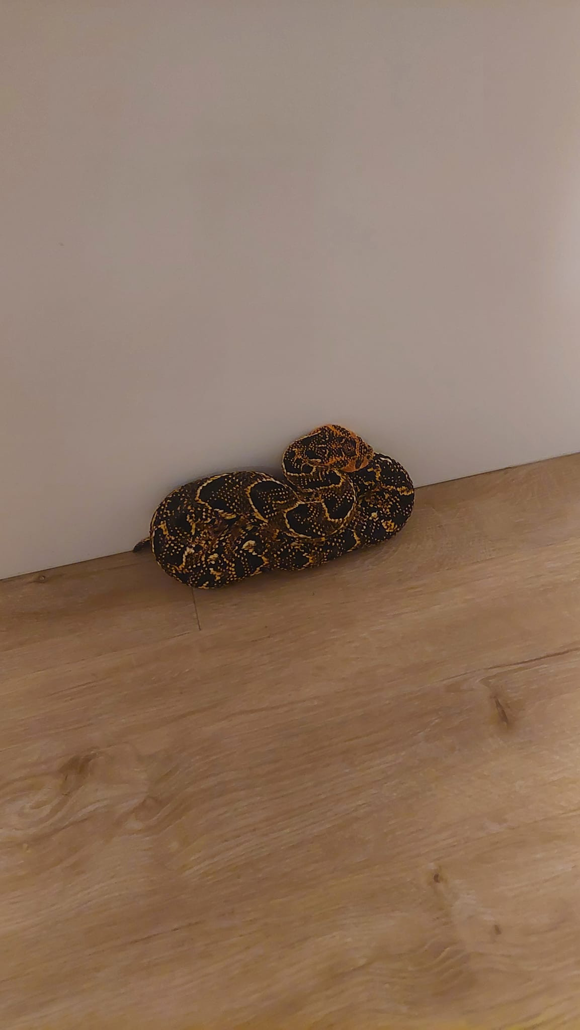 Tưởng khăn qu&agrave;ng bị rơi, người phụ nữ "hoảng hồn" khi biết sự thật ph&iacute;a sau- Ảnh 2.