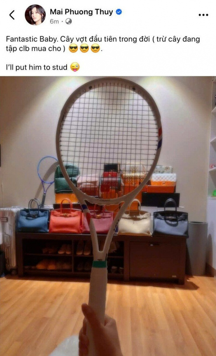 Mai Phương Thúy giàu cỡ nào?- Ảnh 4.