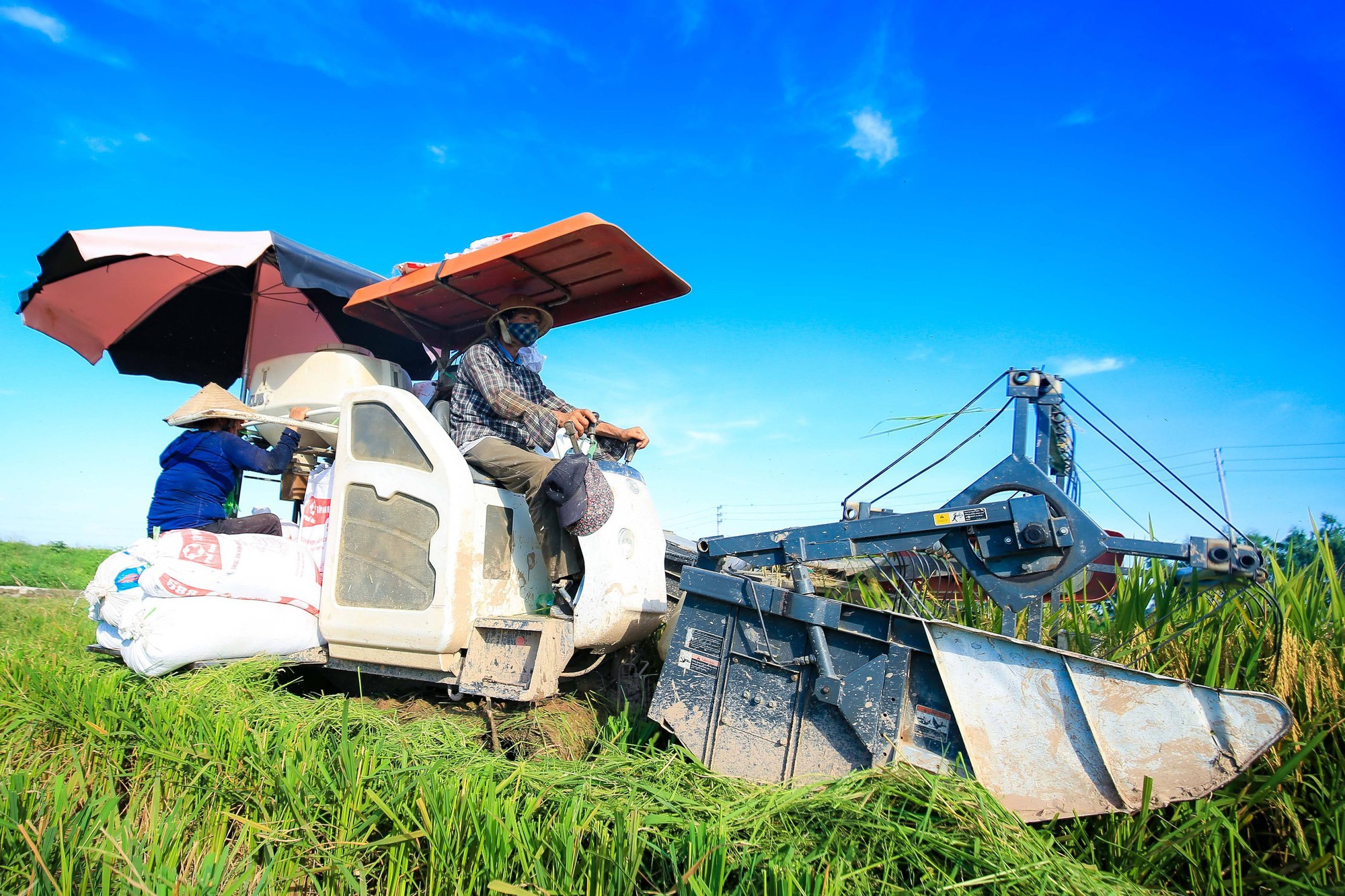 Th&uacute;c đẩy l&agrave;n s&oacute;ng chuyển đổi xanh trong khu vực hợp t&aacute;c x&atilde;- Ảnh 4.