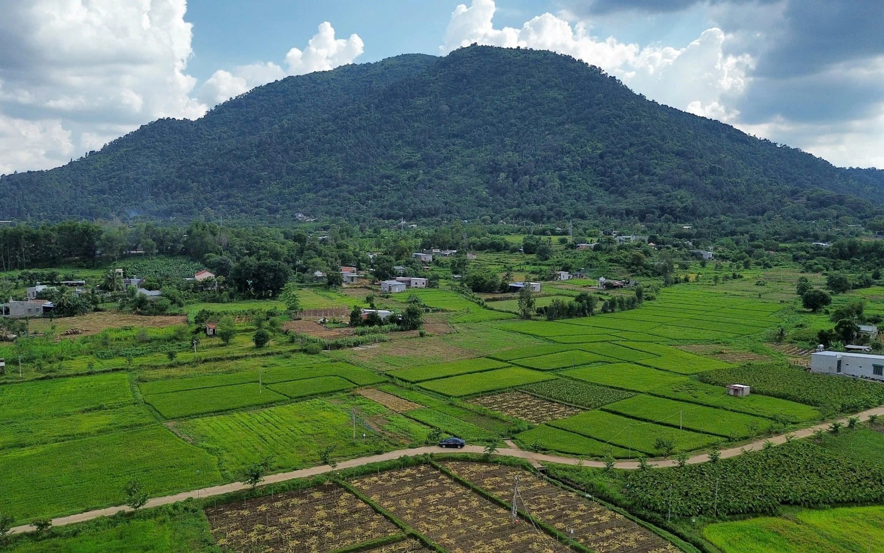 Sau khi xin việc làm bảo vệ, "ông trùm truyền thông" Color Man thông báo bán thương hiệu - Ảnh 4.