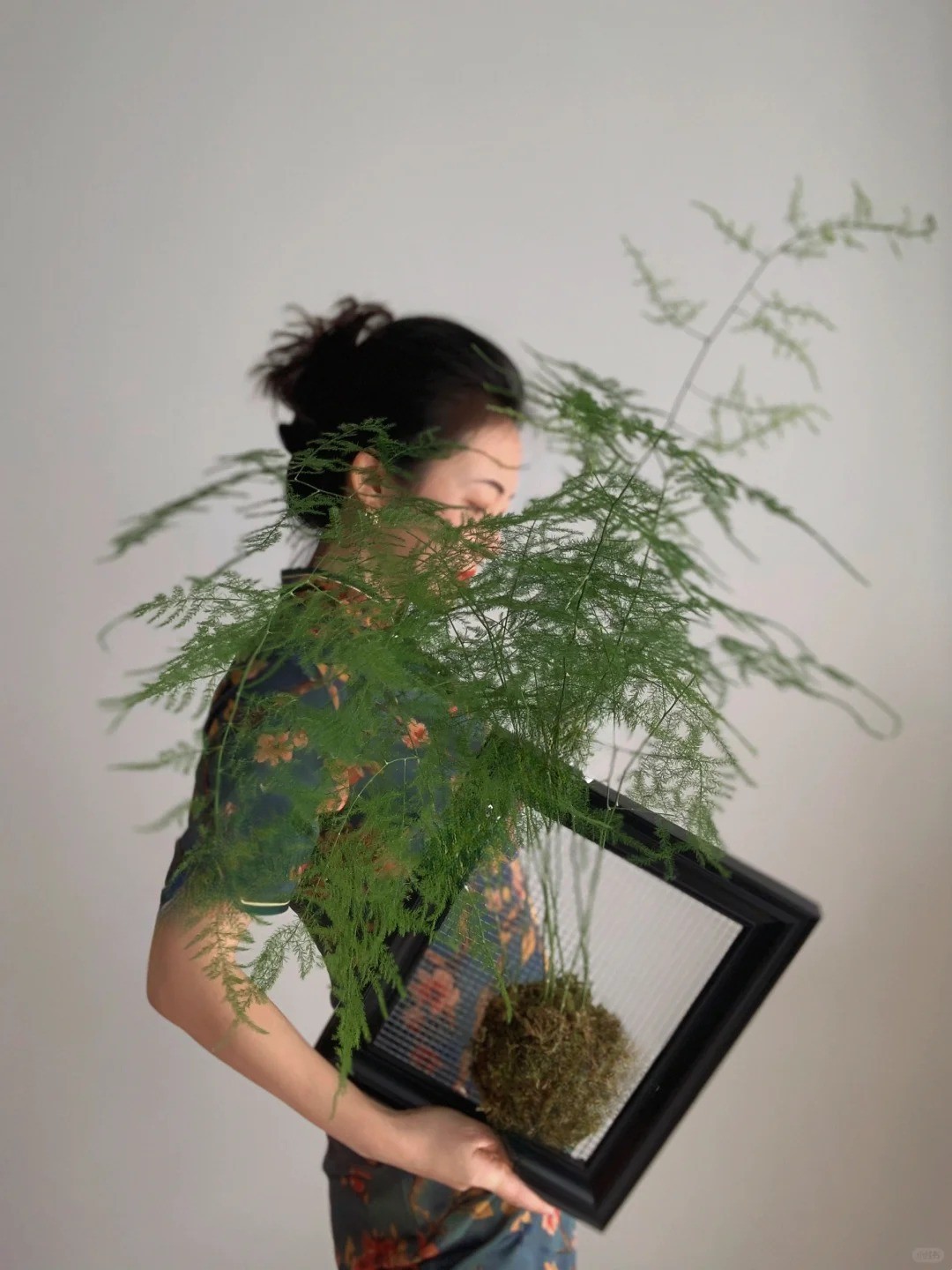 Lo&agrave;i c&acirc;y gi&aacute; v&agrave;i chục ngh&igrave;n n&agrave;y được người xưa rất chuộng: Trồng trong nh&agrave; kh&ocirc;ng chỉ thanh lọc kh&ocirc;ng kh&iacute; m&agrave; c&ograve;n h&uacute;t t&agrave;i lộc, vượng c&ocirc;ng danh- Ảnh 2.