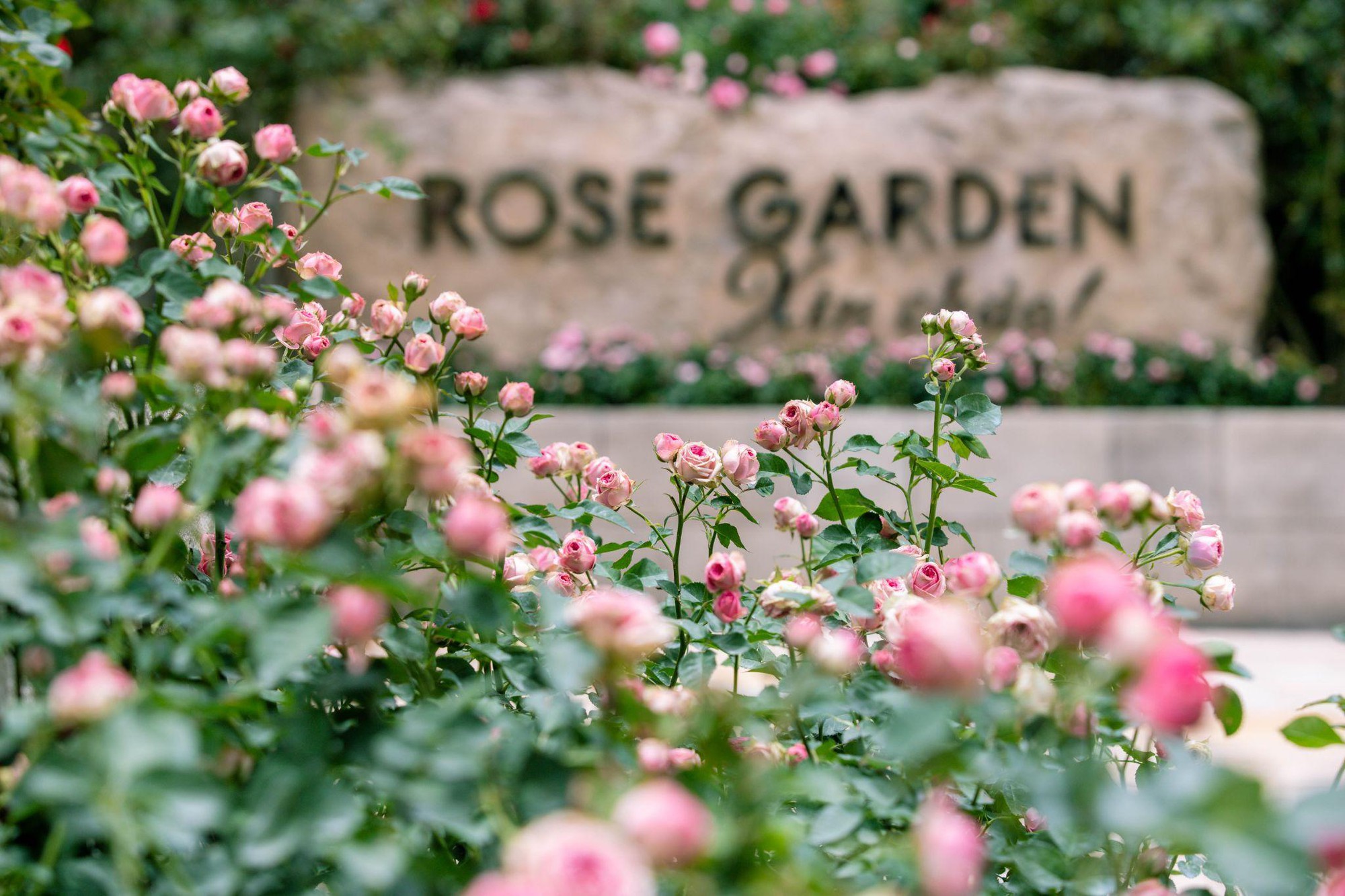 Đây là những điểm đến hấp dẫn không thể bỏ qua khi ghé Đà Nẵng dịp lễ 30/4, 1/5 - Ảnh 3. Đây là những điểm đến hấp dẫn không thể bỏ qua khi ghé Đà Nẵng dịp lễ 30/4, 1/5 - Ảnh 3.