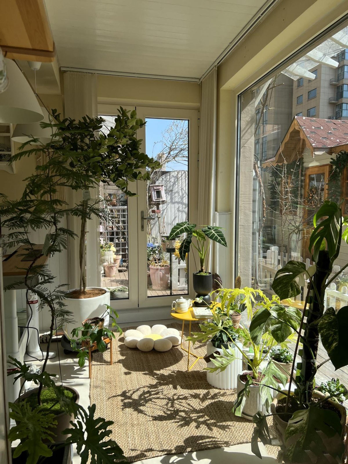 Cô gái 30 tuổi độc thân, sống một mình với khu vườn có 40.000 bông hồng- Ảnh 6. Cô gái 30 tuổi độc thân, sống một mình với khu vườn có 40.000 bông hồng- Ảnh 6.