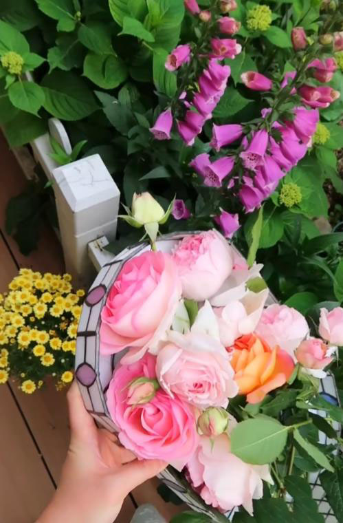 Cô gái 30 tuổi độc thân, sống một mình với khu vườn có 40.000 bông hồng- Ảnh 11. Cô gái 30 tuổi độc thân, sống một mình với khu vườn có 40.000 bông hồng- Ảnh 11.