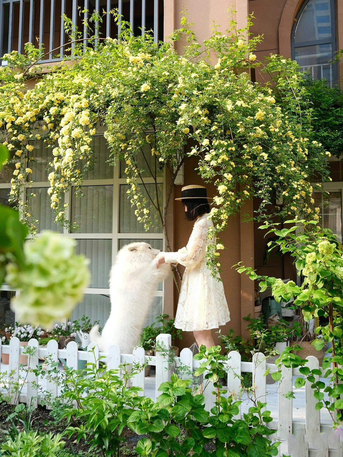 Cô gái 30 tuổi độc thân, sống một mình với khu vườn có 40.000 bông hồng- Ảnh 9. Cô gái 30 tuổi độc thân, sống một mình với khu vườn có 40.000 bông hồng- Ảnh 9.