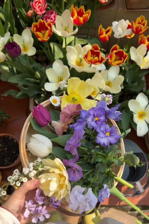 Cô gái 30 tuổi độc thân, sống một mình với khu vườn có 40.000 bông hồng- Ảnh 10. Cô gái 30 tuổi độc thân, sống một mình với khu vườn có 40.000 bông hồng- Ảnh 10.