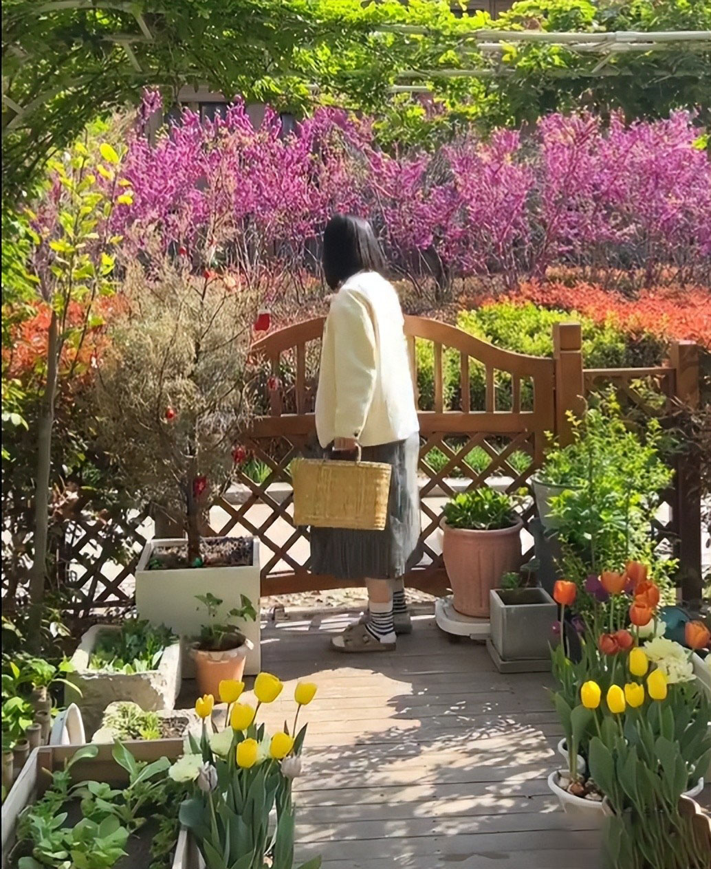 Cô gái 30 tuổi độc thân, sống một mình với khu vườn có 40.000 bông hồng- Ảnh 5. Cô gái 30 tuổi độc thân, sống một mình với khu vườn có 40.000 bông hồng- Ảnh 5.