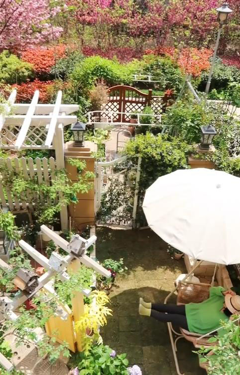 Cô gái 30 tuổi độc thân, sống một mình với khu vườn có 40.000 bông hồng- Ảnh 12. Cô gái 30 tuổi độc thân, sống một mình với khu vườn có 40.000 bông hồng- Ảnh 12.