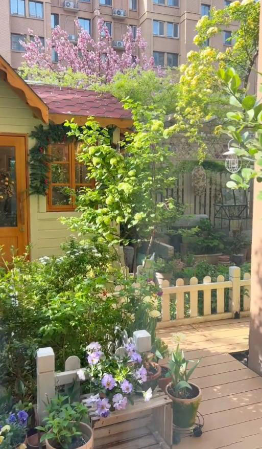 Cô gái 30 tuổi độc thân, sống một mình với khu vườn có 40.000 bông hồng- Ảnh 4. Cô gái 30 tuổi độc thân, sống một mình với khu vườn có 40.000 bông hồng- Ảnh 4.