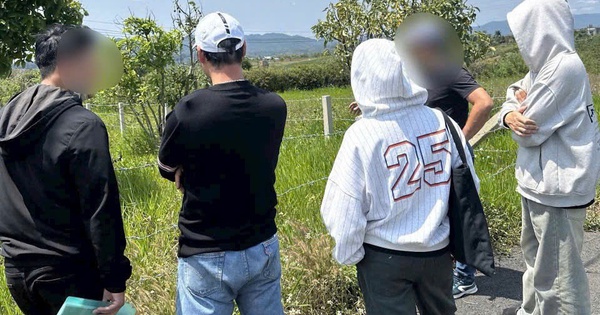 Lãi 1-2 tỷ/năm, công ty đại lý tàu biển được rao bán  giá 336.000 đồng/cp - Ảnh 2.