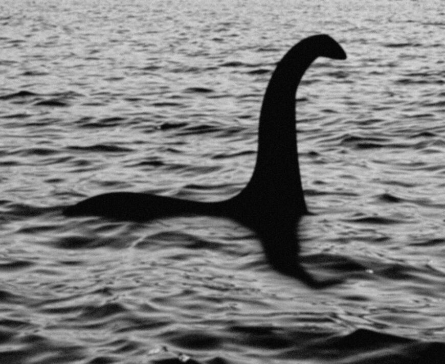 Người phụ nữ phát hiện sinh vật bí ẩn, nghi là quái vật hồ Loch Ness huyền thoại - Ảnh 1.