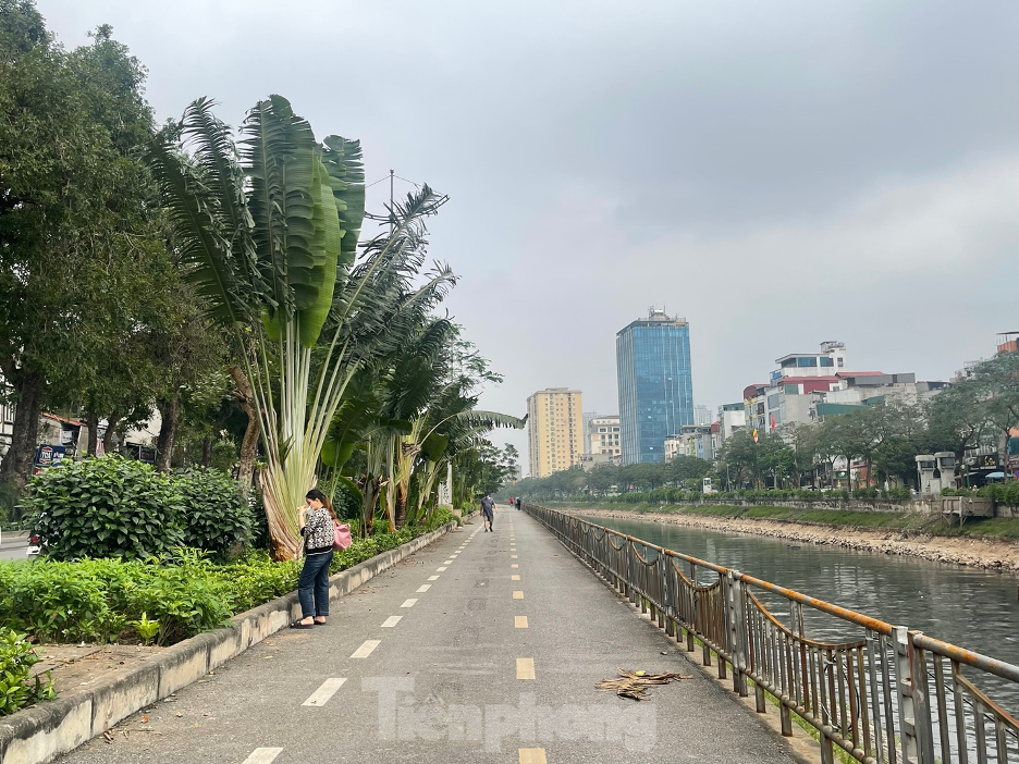Đường Hà Nội dành riêng cho xe đạp và người đi bộ nhếch nhác, vắng tanh- Ảnh 4.