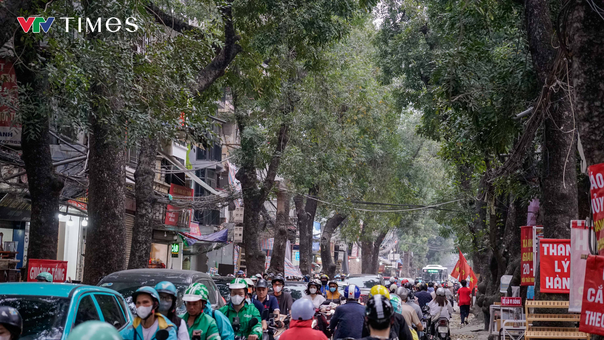 H&agrave; Nội: Dự kiến dịch chuyển, chặt hạ 357 c&acirc;y xanh để thi c&ocirc;ng đường Ho&agrave;ng Cầu - Voi Phục - Ảnh 1.