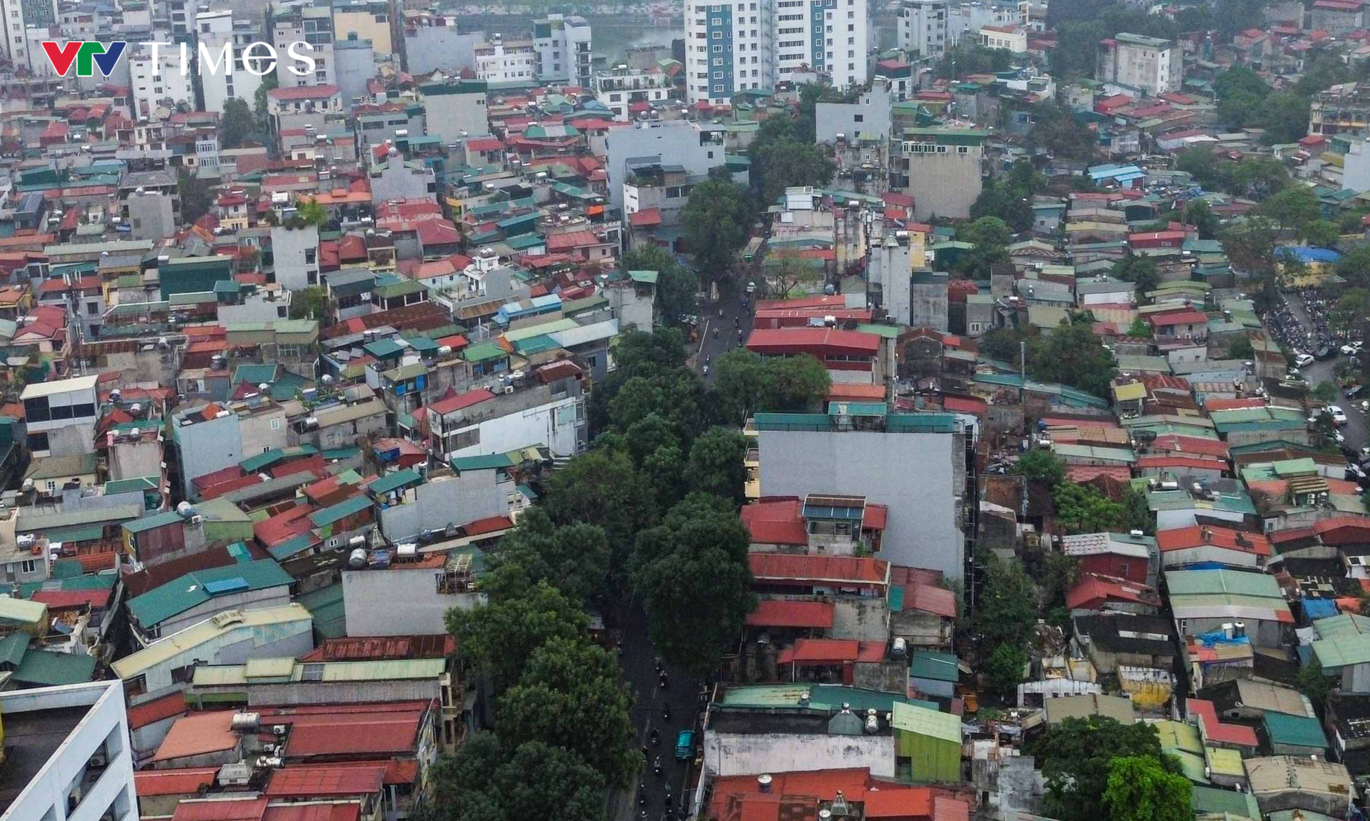 H&agrave; Nội: Dự kiến dịch chuyển, chặt hạ 357 c&acirc;y xanh để thi c&ocirc;ng đường Ho&agrave;ng Cầu - Voi Phục - Ảnh 8.