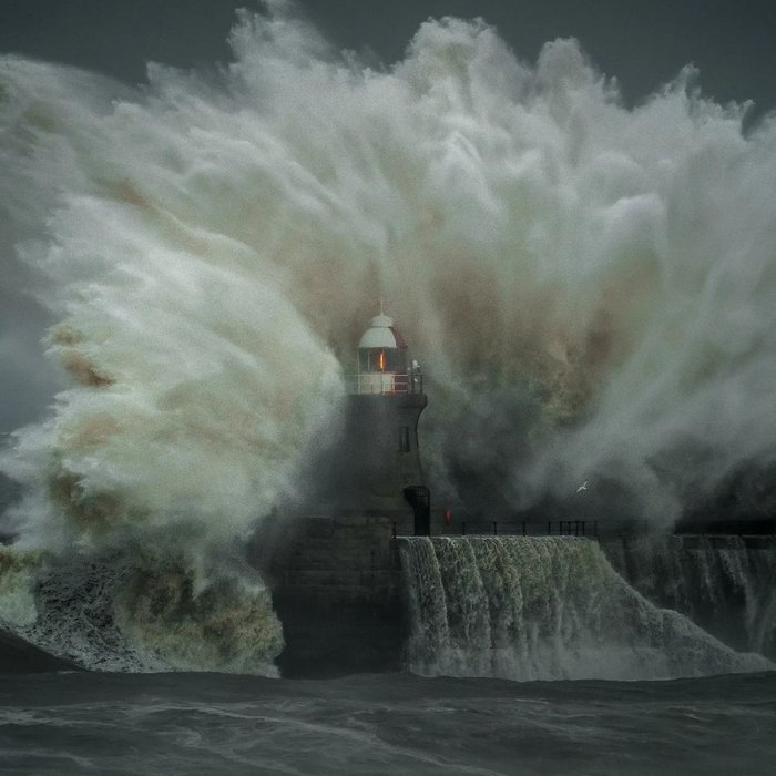 D&agrave;nh 12 tiếng để chụp 4.000 bức ảnh ở biển, người đ&agrave;n &ocirc;ng h&atilde;i h&ugrave;ng khi ph&oacute;ng to một tấm h&igrave;nh l&ecirc;n: &ldquo;Chuyện g&igrave; đang xảy ra vậy?&rdquo;- Ảnh 5.