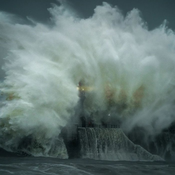 D&agrave;nh 12 tiếng để chụp 4.000 bức ảnh ở biển, người đ&agrave;n &ocirc;ng h&atilde;i h&ugrave;ng khi ph&oacute;ng to một tấm h&igrave;nh l&ecirc;n: &ldquo;Chuyện g&igrave; đang xảy ra vậy?&rdquo;- Ảnh 4.