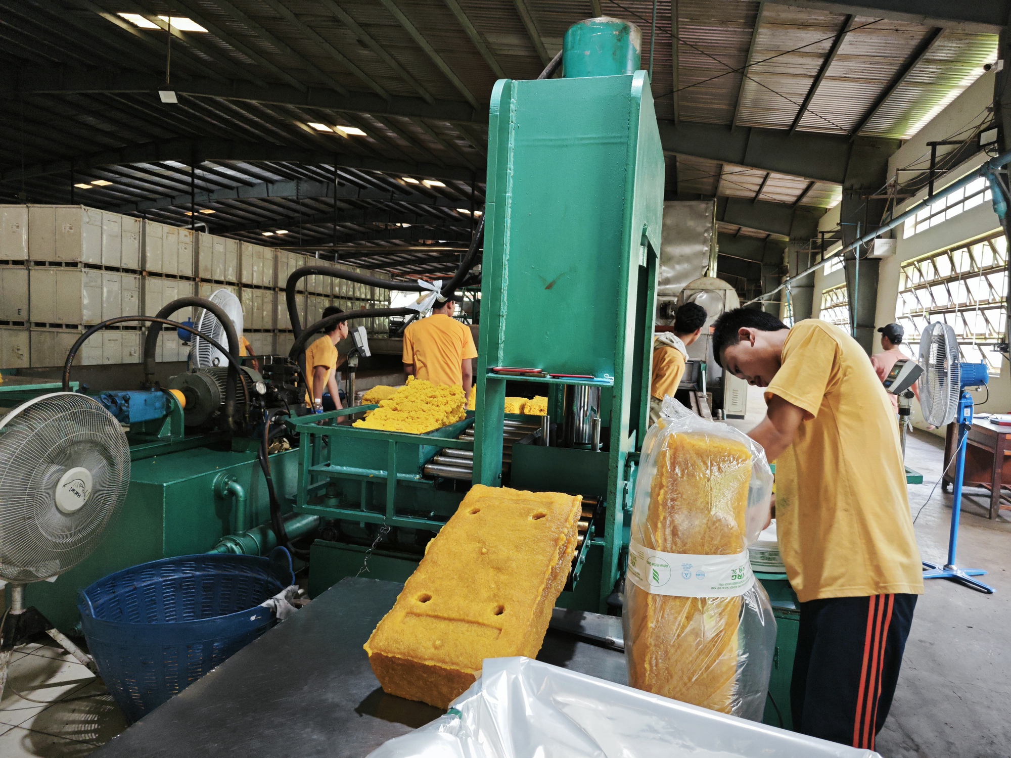 Ba trụ cột tăng trưởng đột phá của VRG năm nay- Ảnh 2. Ba trụ cột tăng trưởng đột phá của VRG năm nay- Ảnh 2.