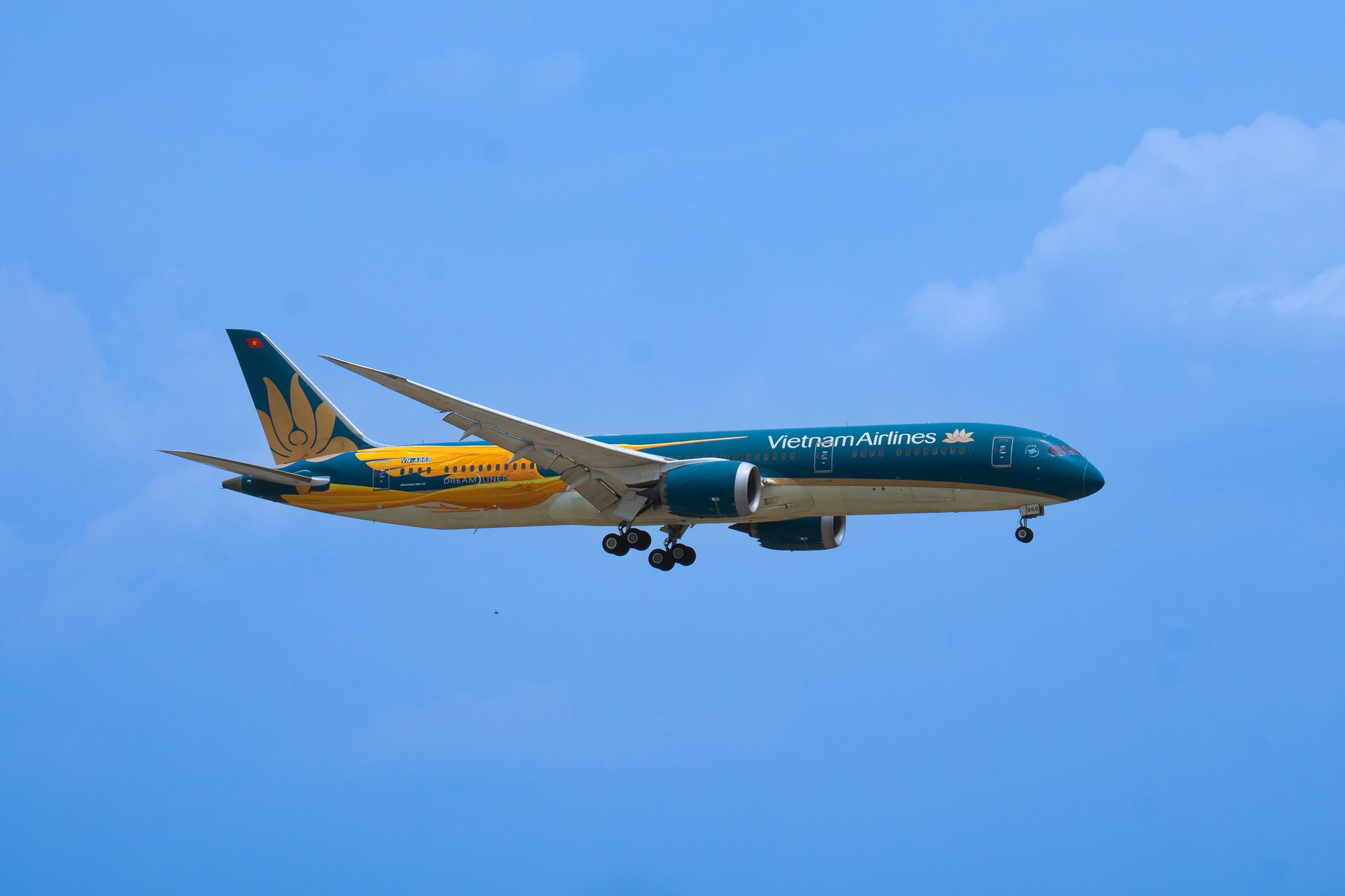 Máy bay Vietnam Airlines rực rỡ diện mạo mới nhân kỷ niệm 30 năm thành lập - Ảnh 6.