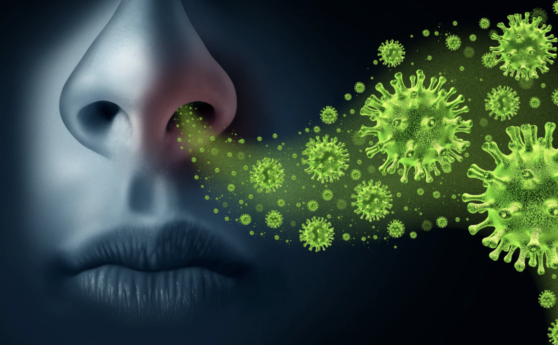 B&eacute; g&aacute;i ở T&acirc;y Ninh trở th&agrave;nh ca bệnh đặc biệt hiếm gặp sau khi tiếp x&uacute;c g&agrave; chết h&agrave;ng loạt- Ảnh 1.