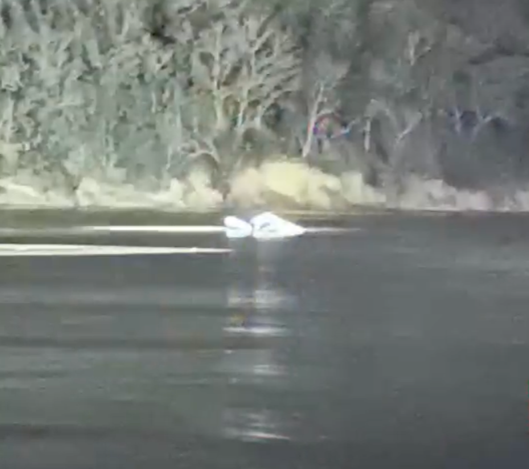 M&aacute;y bay trực thăng rơi xuống s&ocirc;ng ở Mỹ g&acirc;y tử vong cho 3 người - Ảnh 2.